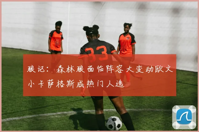 狼记：森林狼面临阵容大变动欧文小卡萨格斯成热门人选