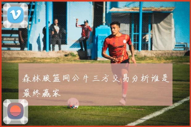 森林狼篮网公牛三方交易分析谁是最终赢家