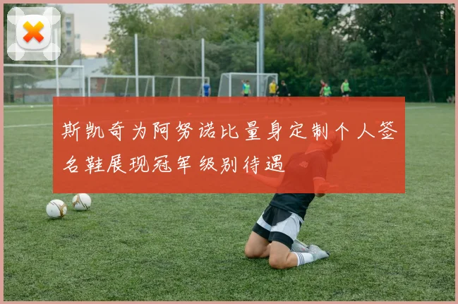 斯凯奇为阿努诺比量身定制个人签名鞋展现冠军级别待遇